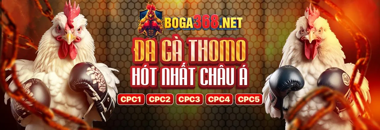 Cá cược bóng rổ tại mb6