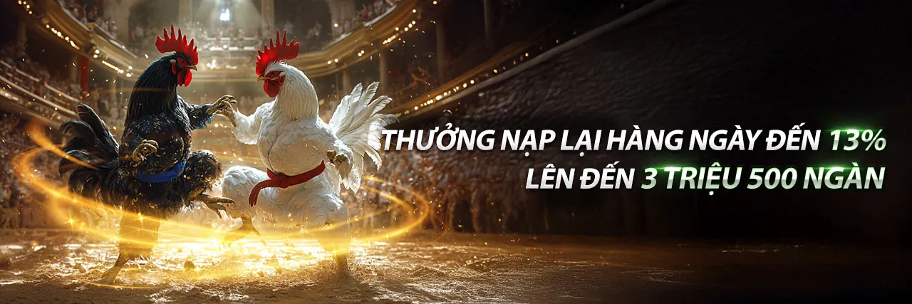 Đá Gà Trực Tuyến MB6